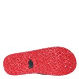 The North Face Erkek  BASE CAMP FLIP-FLOP II NF0A47AAKZ31 Ayakkabı