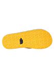 The North Face Erkek  BASE CAMP FLIP-FLOP II NF0A47AAZU31 Ayakkabı