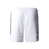 The North Face M MA FLEECE SHORT - EU Erkek Şort NF0A823OLA91