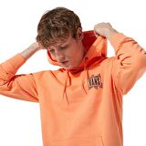 Vans Palm Tree Po Erkek Turuncu Kapüşonlu Sweatshirt