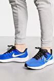 Nike Air Zoom Pegasus 39 Road Running Erkek Koşu & Antreman Spor Ayakkabısı