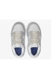Nike Dunk Low Wolf Erkek Gri Günlük Ayakkabı