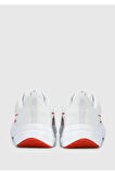 Nike DD9293-009 Downshifter12 Erkek Günlük Ayakkabı