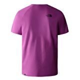 M S/S RAGLAN REDBOX TEE - EU Erkek T-Shirt NF0A3BQOLV11