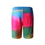 M STANDARD SHORT LIGHT-EU Erkek Şort NF0A3S4EIAX1