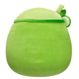 Squishmallows Salatalıklı Smoothie Townes 30cm SQCR06389