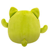 Squishmallows Kaktüs Kedi Ms. Miss 20cm SQCR06594