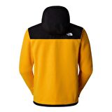 M ALPINE POLARTEC 200 F/Z HOODED Erkek Tam Fermuar Polar NF0A7UJ7ZU31