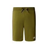M STANDARD SHORT LIGHT-EU Erkek Şort NF0A3S4EPIB1