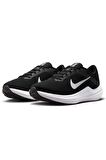 Nike Winflo 10 Kadın Spor Ayakkabı DV4023-003