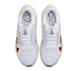 Nike Pegasus 40 Premium Kadın Yol Koşu Ayakkabı FB7703-100