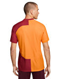 Nike Galatasaray 2023/2024 Parçalı Profesyonel Forma FJ6347-836