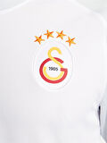 Nike Galatasaray 2023/2024 Deplasman Forma FJ7948-100
