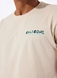 Billabong Erkek T-Shirt