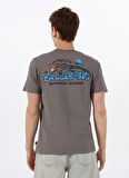 Billabong LIZARD MOUNTAIN ADIV SS 24A501545 Çok Renkli Bisiklet Yaka Regular Fit Düz Erkek T-Shirt