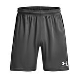 Under Armour Erkek Şort Challenger Knit