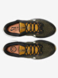Nike Air Winflo 10 Erkek Koşu Ayakkabısı