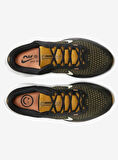 Nike Air Winflo 10 Erkek Koşu Ayakkabısı