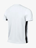 Nike M Nk Df Chalng V Jsy SS Erkek Forma