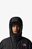 The North Face M Hmlyn 30 Annıversary Erkek Gri Parka NF0A88XE1OA1