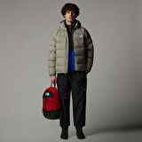 The North Face M Hydrenalite Down Hoodie Erkek Mont