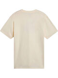 Vans Cooler Coon SS Crew Tee-B Erkek T-shirt
