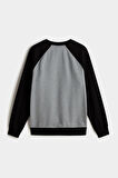 Erkek Core Basic Raglan Crew Sweatshirt - Gri | XS