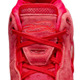 Nike FJ1566-600 Zm Lebron Nxxt Gen Ampd Erkek Basketbol Ayakkabısı