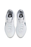 Nike Giannis Freak 6 Erkek Spor Ayakkabı Fj7792-102