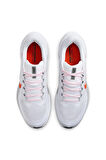 Nike Air Zoom Pegasus 41 Erkek Koşu Ayakkabı Fd2722-108