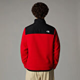 The North Face M Alpine Polartec 200 Fz Jacket Erkek Polar Ceket