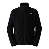 The North Face Erkek ALPINE POLARTEC 200 FZ CEKET NF0A7WWL4HF1