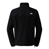 The North Face Erkek ALPINE POLARTEC 200 FZ CEKET NF0A7WWL4HF1