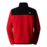 The North Face Erkek ALPINE POLARTEC 200 FZ CEKET NF0A7WWL54A1