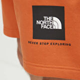 The North Face Erkek Şort Box Never Stop Exploring Regular