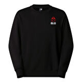 The North Face U MNT ANNIVERSARY  RELAXED CREW Swetşört NF0A8DN6JK31