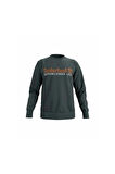 Timberland Erkek Sweatshirt-TB0A2FEQ3171