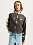 Vans VN000R3HEMV1-Ryden Biker Jacket Siyah Normal Düz Kadın Zip Ceket