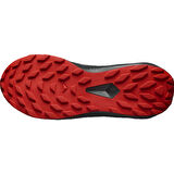 Salomon ALPHAGLIDE GORE-TEX Erkek Ayakkabısı L47975200