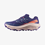 Salomon ULTRA FLOW 2 GTX Kadın Ayakkabısı L4788430