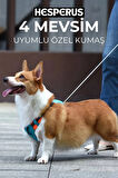 Köpek Tasması Gövdelik Ve Göğüslük Otomatik Toplama Rahat ve Konforlu Yürüyüş Tasma L