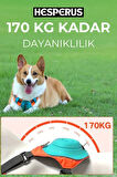 Köpek Tasması Gövdelik Ve Göğüslük Otomatik Toplama Rahat ve Konforlu Yürüyüş Tasma L