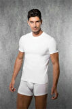 Doreanse  Yakasız Erkek  T-shirt 2550