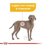 Royal Canin Maxi Dermacomfort Kuru Köpek Maması 12kg