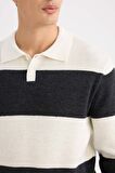 DeFacto Standart Fit Polo Yaka Çizgili Triko Kazak D3590AX24WNER139