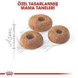 Royal Canin Fit32 Yetişkin Kuru Kedi Maması 15kg