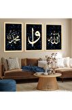 GOLD AYNALI PLEKSİ ÇERÇEVELİ TAVUS KUŞU TABLOSU