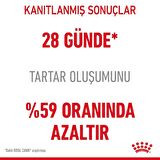 Royal Canin Dental Care Diş Sağlığı için Kuru Kedi Maması 1.5kg