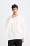 DeFacto Regular Fit Bisiklet Yaka Jakarlı Sweatshirt D5391AX24AUWT32