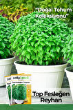 80 Adet Yerli Ata Top Fesleğen - Top Reyhan (Ocimum Basilicum) Tohumu